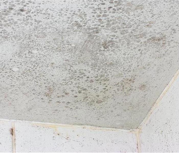 White ceiling with black mold.