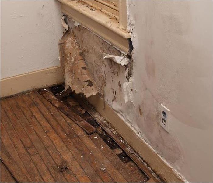 A wall with mold forming under the drywall
