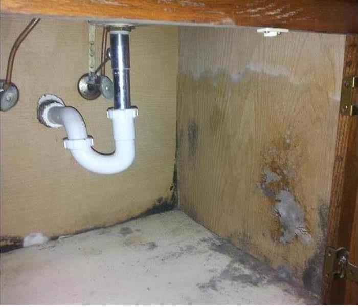 A bathroom sink with mold damage