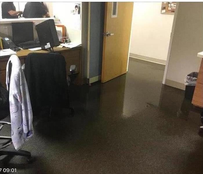 Flooded Basement caused by a recent storm